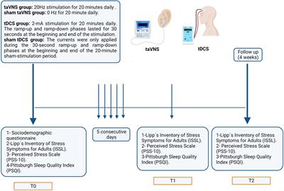 Effects of multisession prefrontal cortex tDCS or taVNS on stress, perceived stress and sleep quality: a double-blind, randomized controlled study